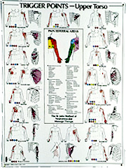 Trigger Point Therapy Chart